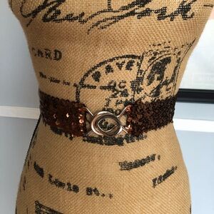 🤎NEW Sequin Brown Stretch Belt with Silver Buckle🤎